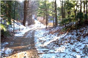 Winter Dirt Road