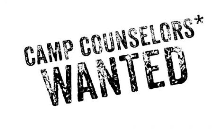 Camp Counselors Wanted